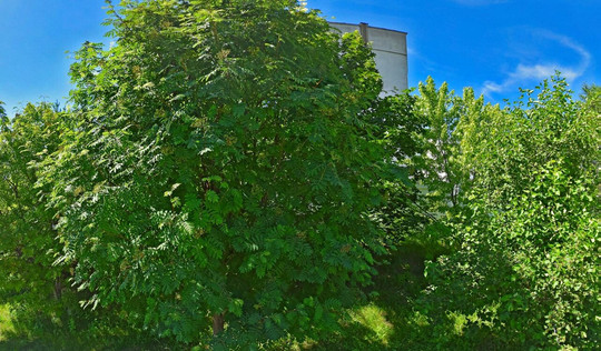 Детская поликлиника №2 на 8 Марта, фото №1