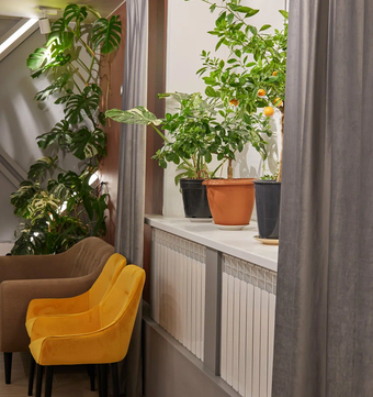 Проксима Клиник на Манчестерской, фото №1