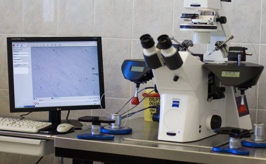 Городской Центр Лечения Бесплодия при Мариинской больнице, фото №1