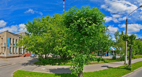 Стоматология Престиж дентал, фото №1