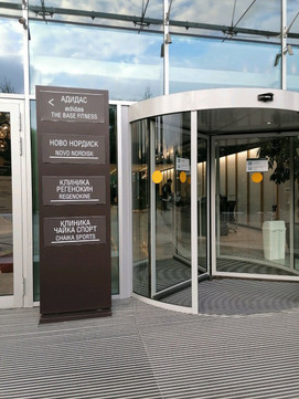 Чайка в Крылатском, фото №1