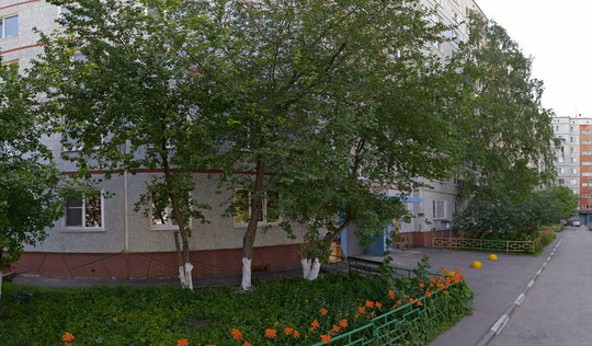 Гирутек на Дианова, фото №1