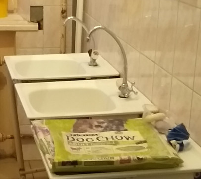 Травмпункт областной больницы на Лечебной, фото №1