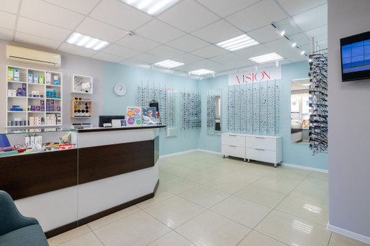 Доктор Вижн на Елизаровых, фото №1