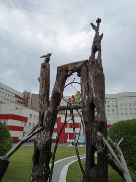 Краевая больница на Ляпидевского, фото №1