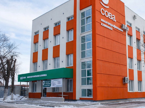 Сова на Чернышевского, фото №1