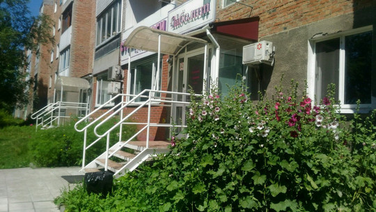Айболит на Новокирпичной, фото №1