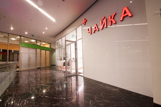 Чайка в Москва-Сити, фото №1