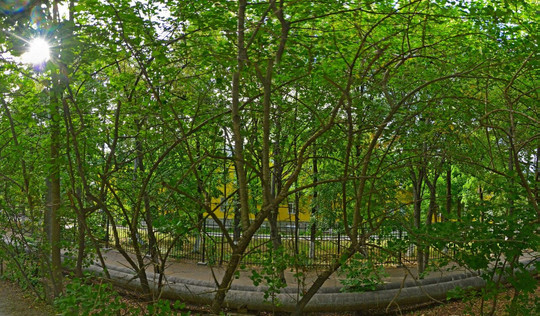 Женская консультация №2 роддома №2 на Офицерской, фото №1