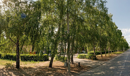 Персона Грата на Буденного, фото №1