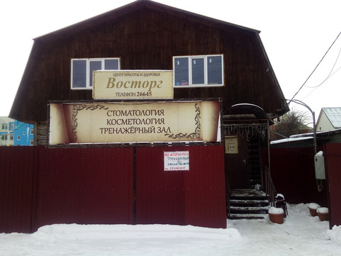 Восторг в Бессоновке, фото №1