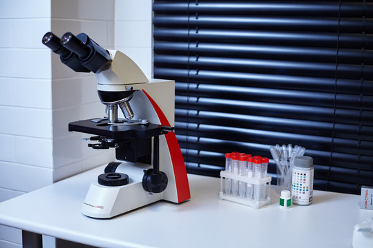 Чайка в Москва-Сити, фото №1