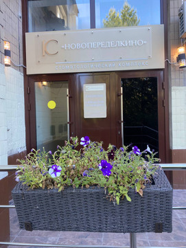 Легенда в Ново-Переделкино, фото №1