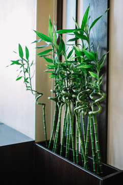 Клиника эстетической медицины Asia-Spa на Курнатовского, фото №1