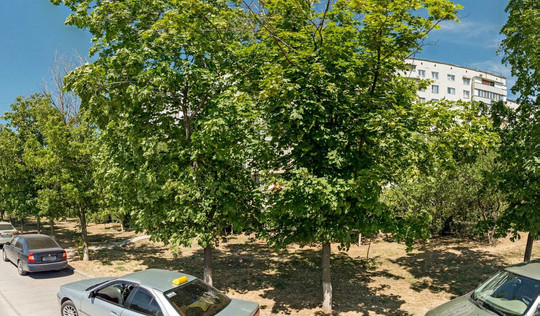 KDL на Строителей, фото №1