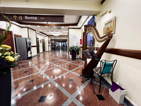 Кабинет пластического хирурга Минасяна Паруйра Наириевича, фото №1