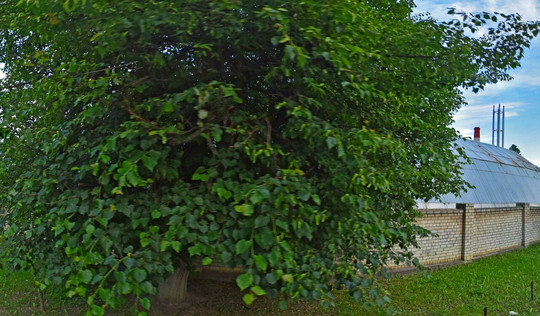 Травмпункт БСМП на Матвеева, фото №1