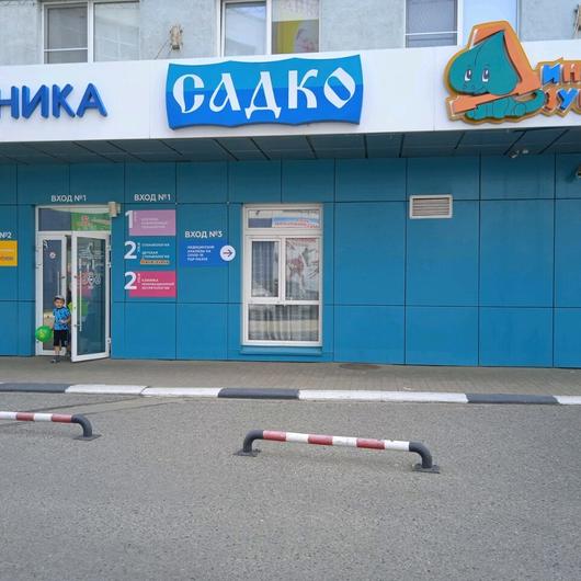 Динозубрик на Сормовском шоссе, фото №3