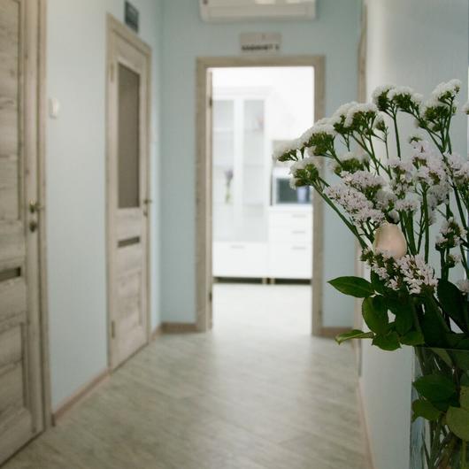 Клиника красоты и здоровья «Schmidt medical», фото №1