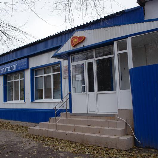 Гепатолог на Сердобской, фото №1