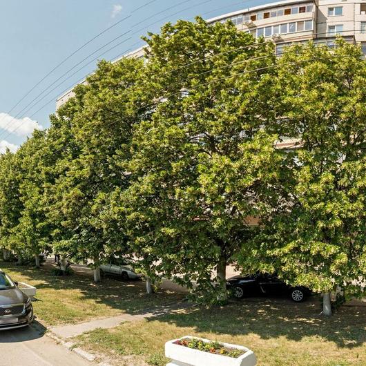 Стоматологическая поликлиника №6 на Кирова, фото №1