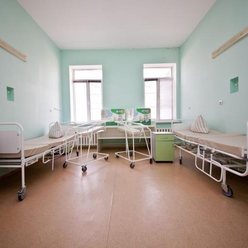 Фото Роддома Номер 2