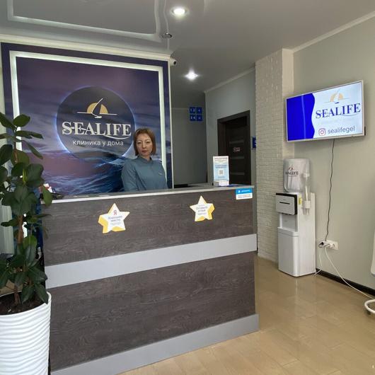 Клиника Sealife, фото №1