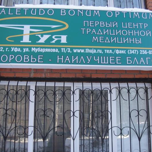 Туя на Мубарякова, фото №4