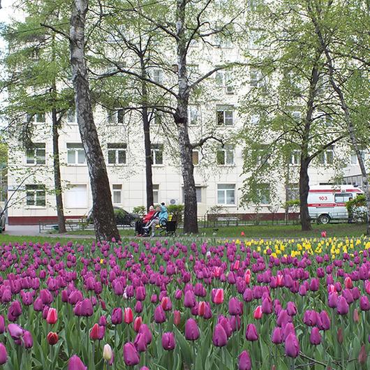 Клиническая больница № 52, фото №2
