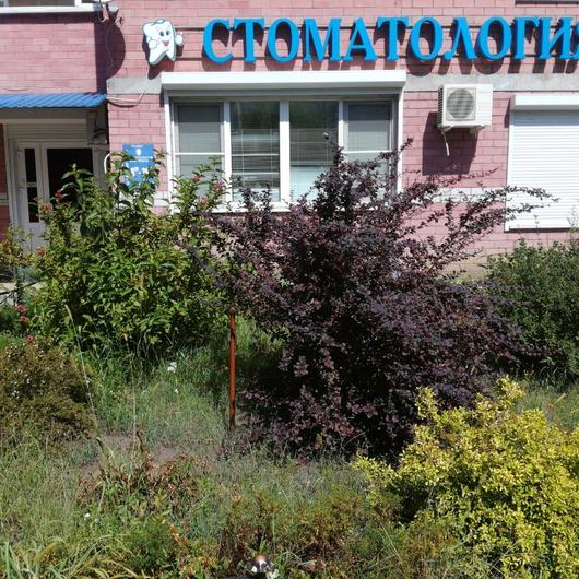 Стоматология «Напала», фото №1