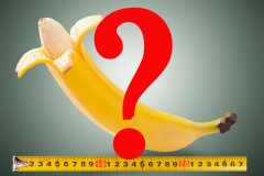 Размер пениса: как узнать норму?