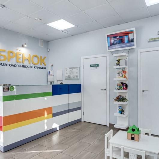 Бобрёнок на Крепостном, фото №3