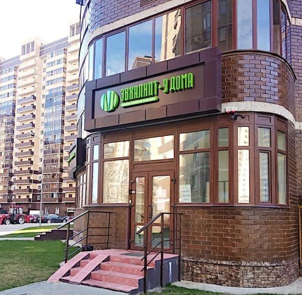 Эвкалипт у дома в Олимпийском