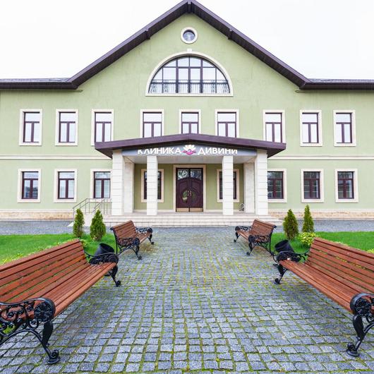 Divini Clinic, фото №1