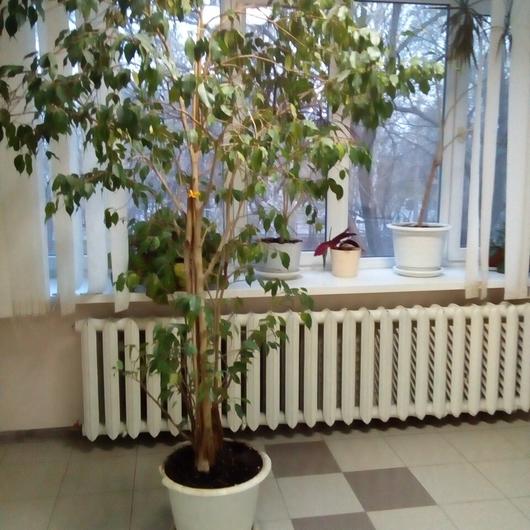 Городская больница №8 на Нагорной (ранее ГБ №9), фото №3