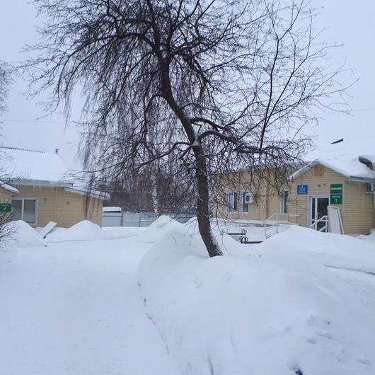 Доктор Айболит на Гоголя, фото №2