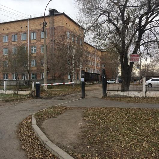 Роддом, фото №1