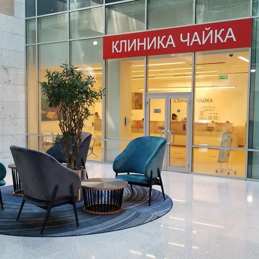 Чайка в Метрополисе, фото №1