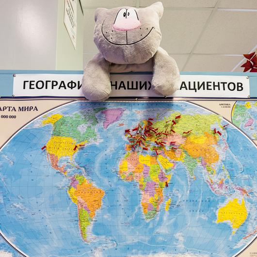Клиника доктора Симкина, фото №2