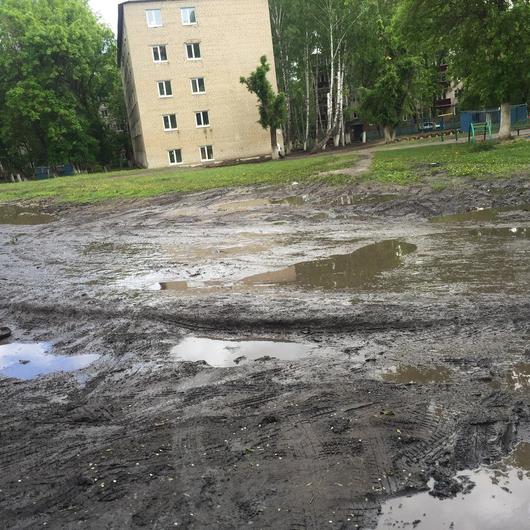 Детская поликлиника №4 на Гожувской, фото №4