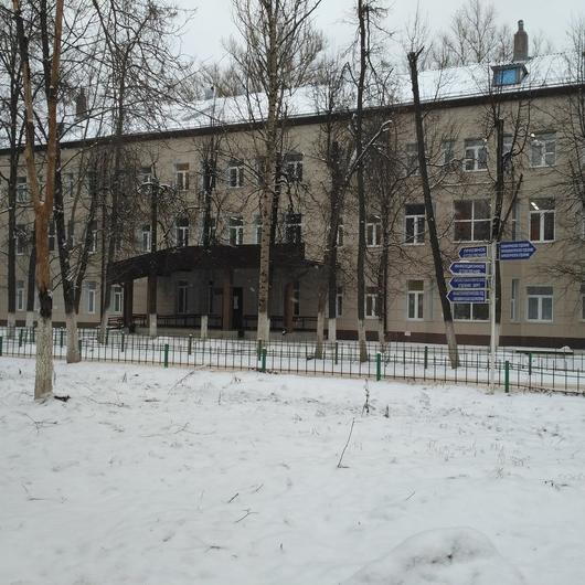 Гусь-Хрустальная ЦГБ, фото №1