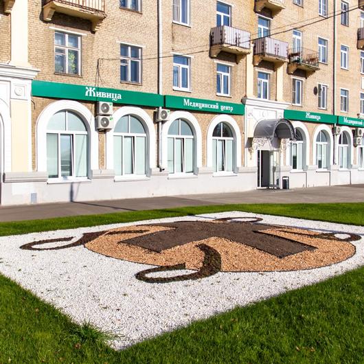 Медицинский центр Живица в Коломне, фото №1