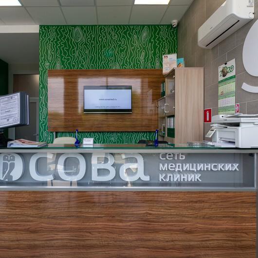 Сова на Симбирской, фото №4