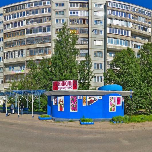Инвитро на Тимме, фото №3