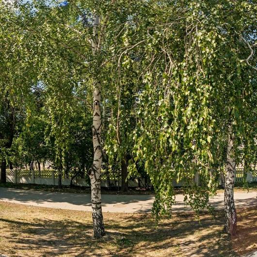 Больница им. Баныкина (ГБ №2), фото №1