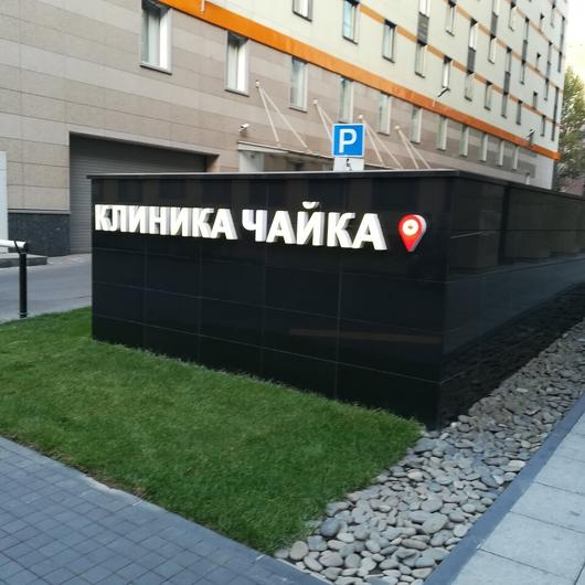 Чайка в Белых садах, фото №2