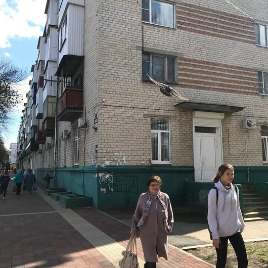 Стоматологическая поликлиника, фото №1