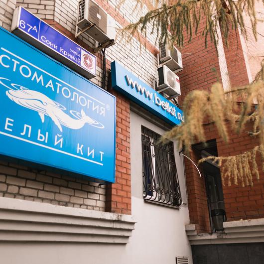 Белый Кит на Сони Кривой, фото №2