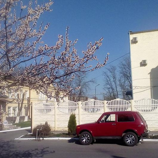 Роддом, фото №1