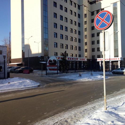 Парацельс на Большакова, фото №2